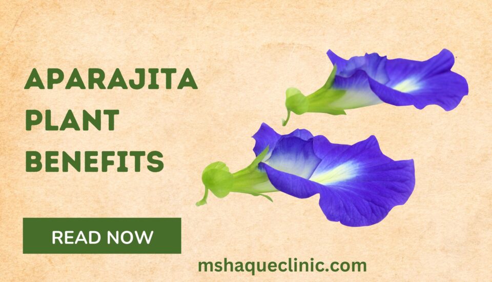 Aparajita plant benefits