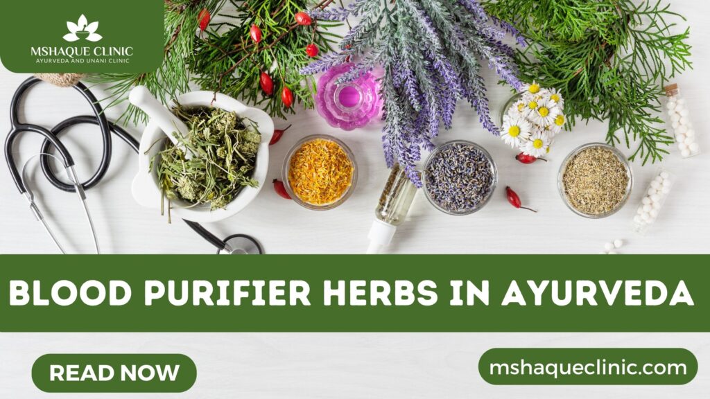 Blood Purifier Herbs In Ayurveda