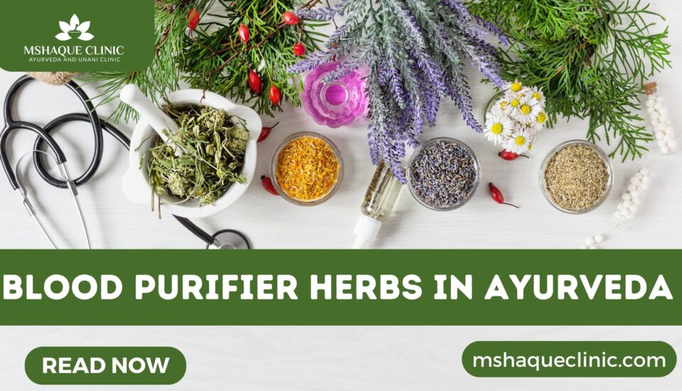 Blood Purifier Herbs In Ayurveda