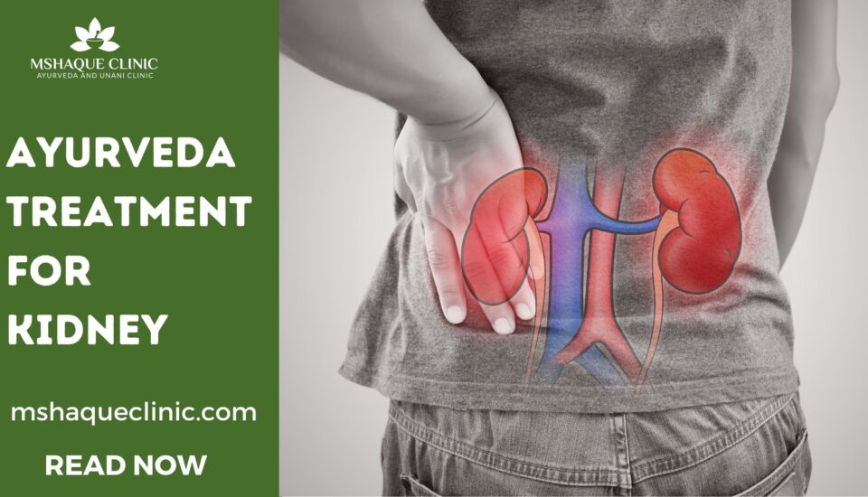 Ayurveda Treatment For Kidney