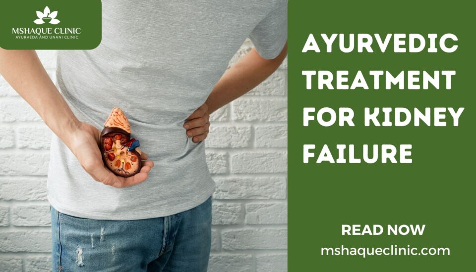 Ayurvedic Treatment For Kidney Failure