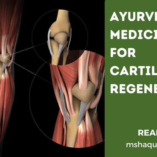 Ayurvedic Medicine For Cartilage Regeneration