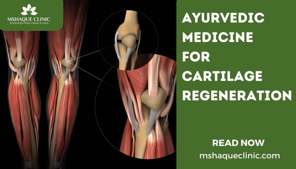 Ayurvedic Medicine For Cartilage Regeneration