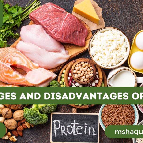 Advantages And Disadvantages Of Protein