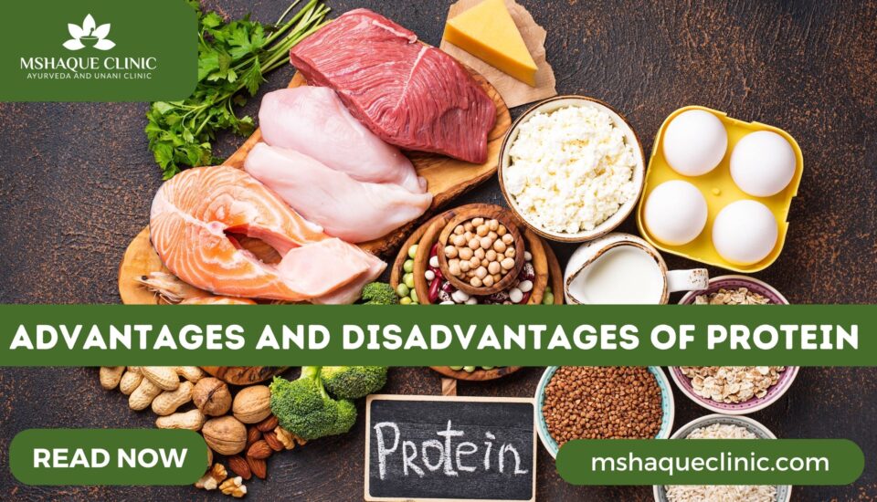 Advantages And Disadvantages Of Protein