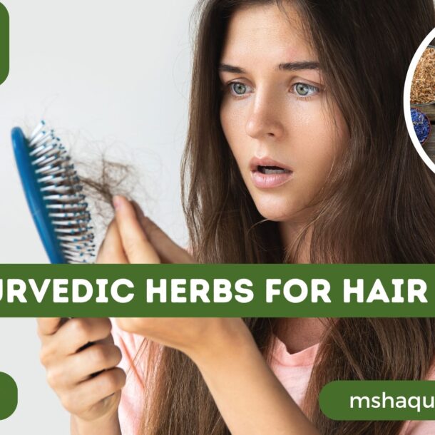 Best Ayurvedic Herbs For Hair Growth