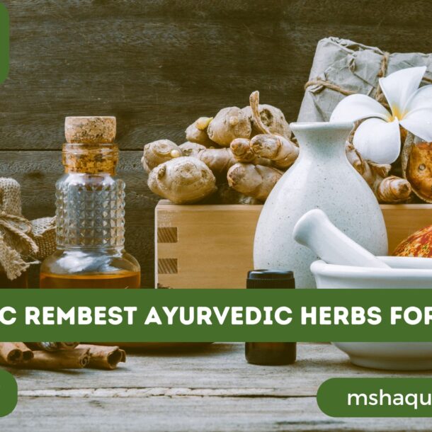 Best Ayurvedic Herbs For Daily Use