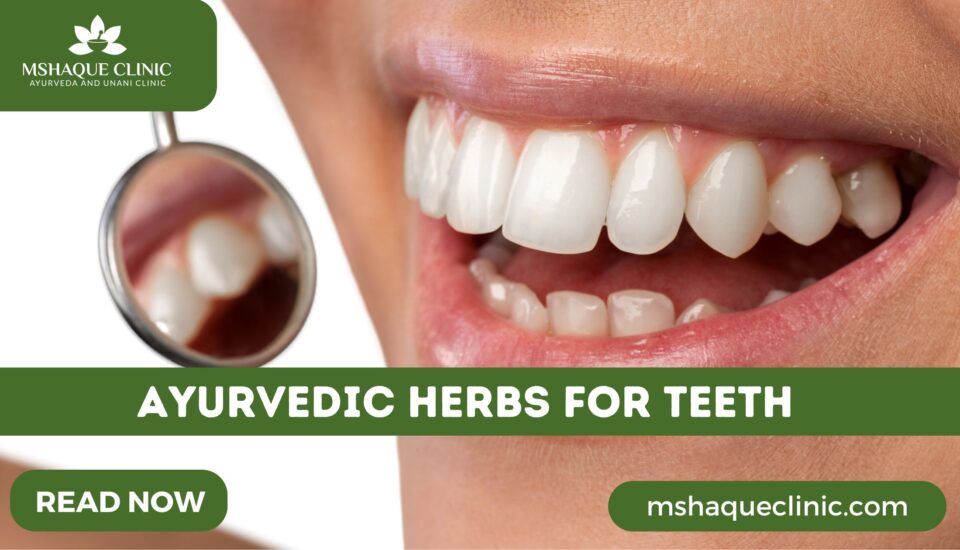 Ayurvedic Herbs For Teeth