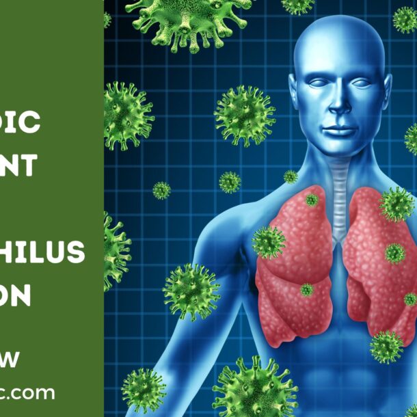 Ayurvedic Treatment For Haemophilus Infection