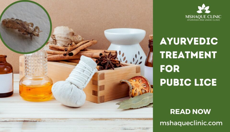 Ayurvedic Treatment For Pubic Lice