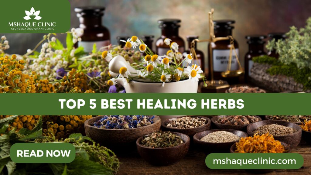 Top 5 Best Healing Herbs