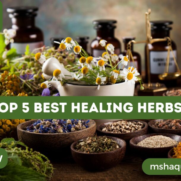 Top 5 Best Healing Herbs