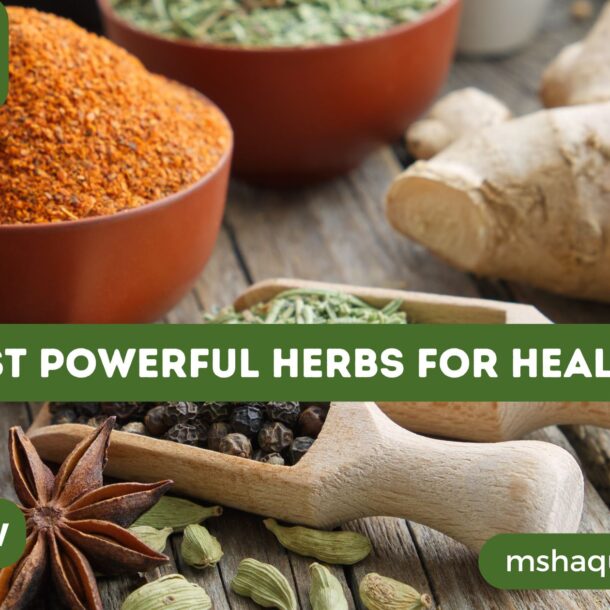 Most Powerful Herbs For Health