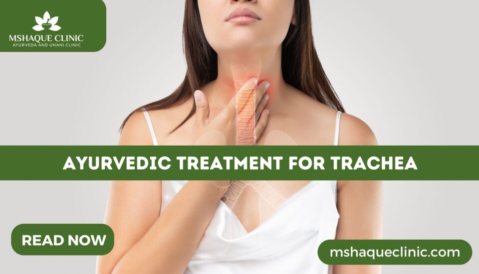 Ayurvedic Treatment For Trachea