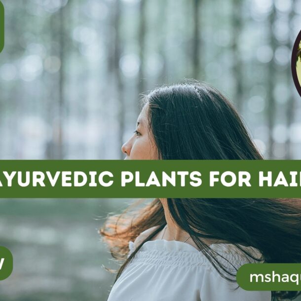 Ayurvedic Plants For Hair