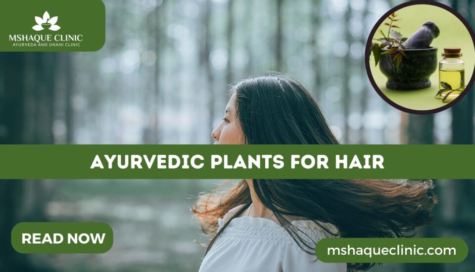 Ayurvedic Plants For Hair