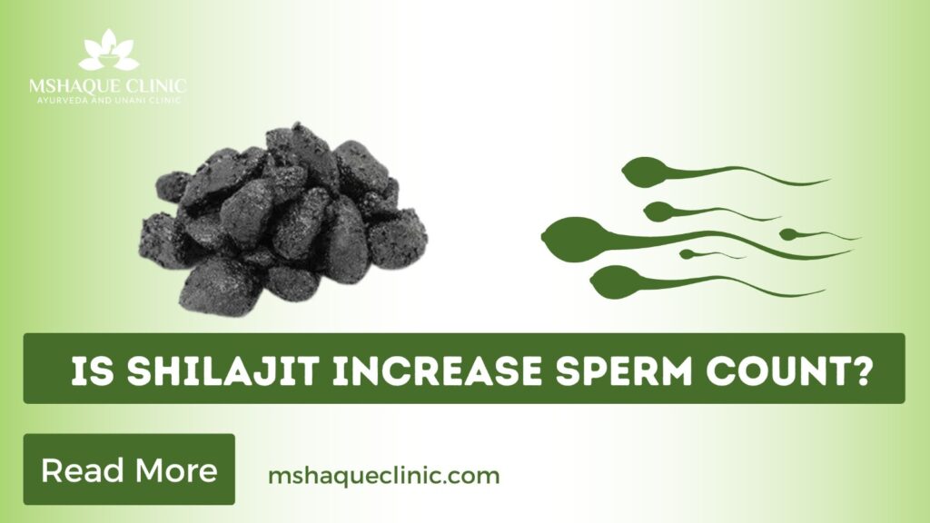 Is Shilajit Increase Sperm Count