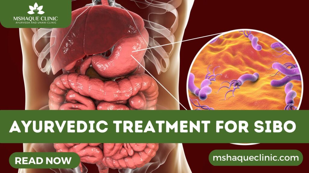 Ayurvedic Treatment For SIBO