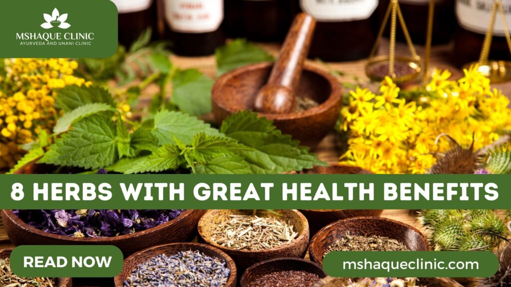 8 Herbs With Great Health Benefits