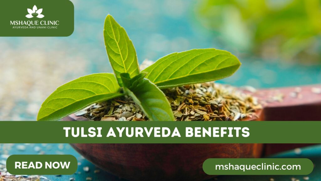 Tulsi Ayurveda Benefits