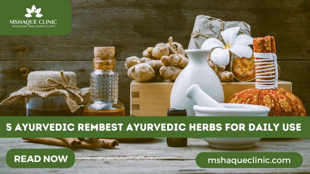Best Ayurvedic Herbs For Daily Use