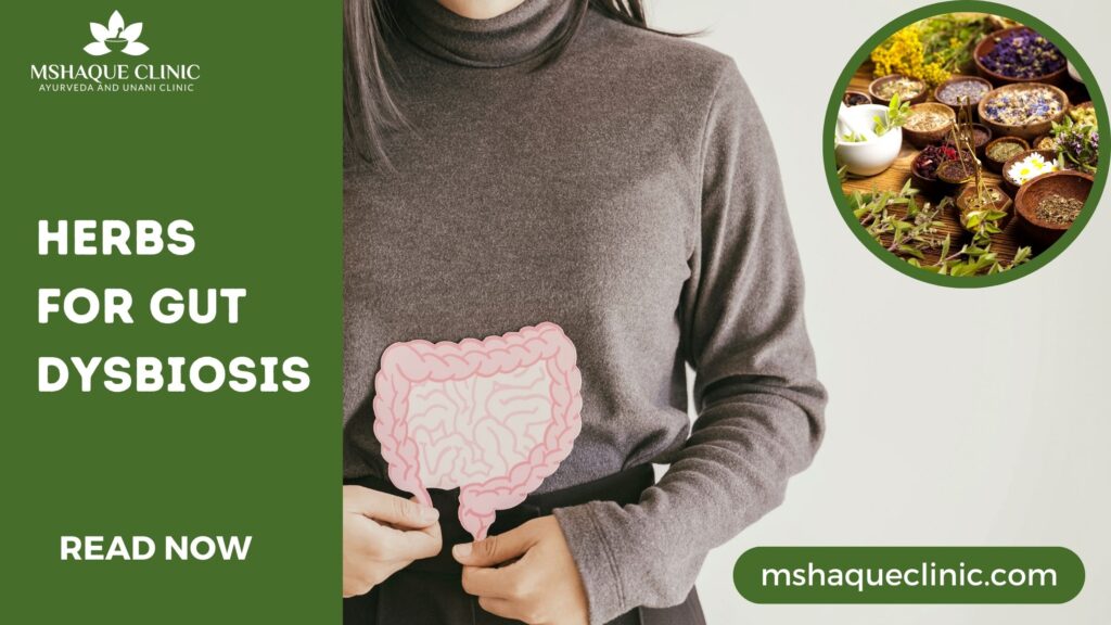 Herbs For Gut Dysbiosis