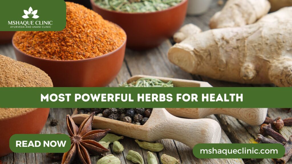 Most Powerful Herbs For Health
