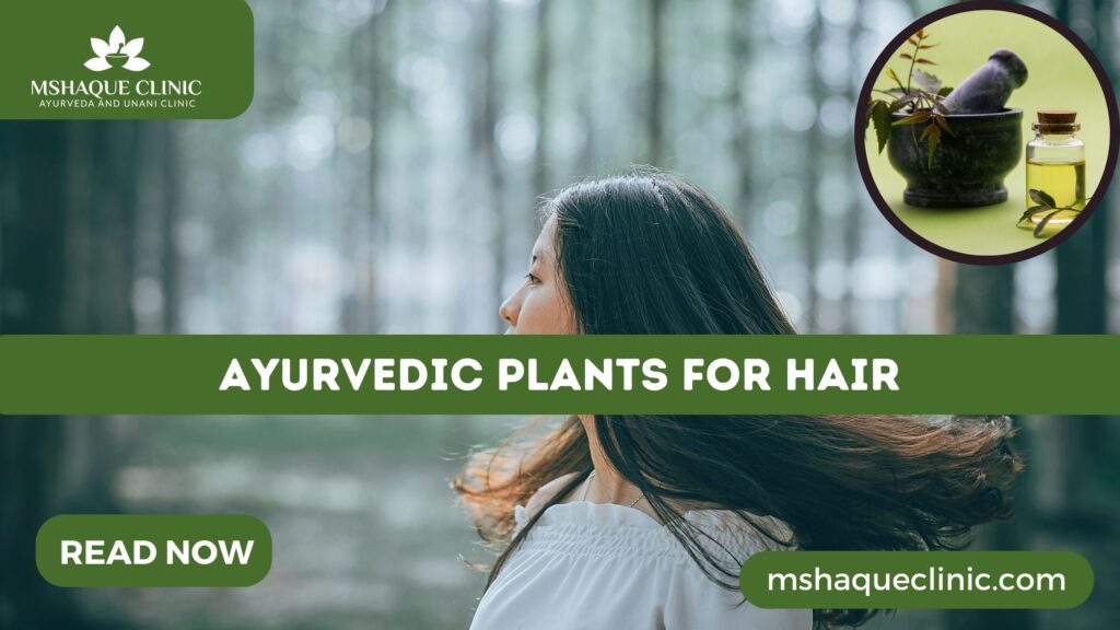 Ayurvedic Plants For Hair